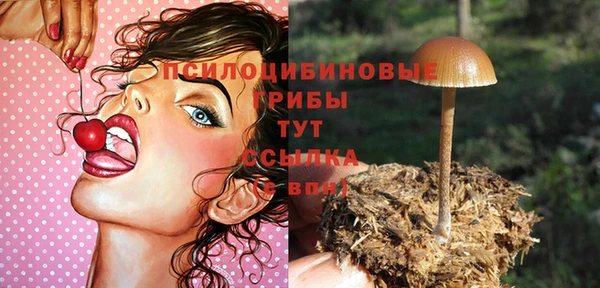 гидропоника Верхний Тагил