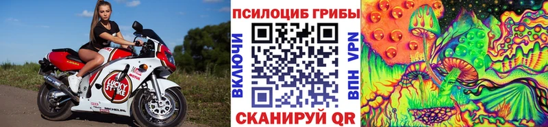 Псилоцибиновые грибы мицелий  ссылка на мегу маркетплейс  Каменка 